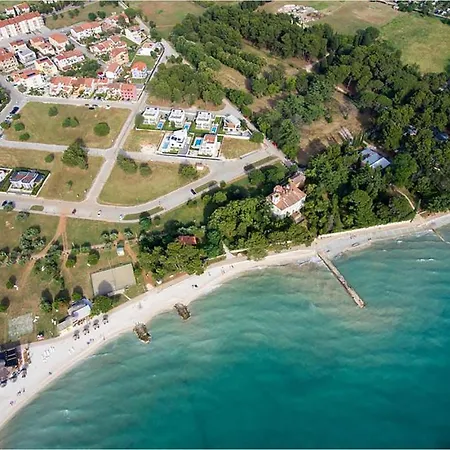 Brace Ilic Iii