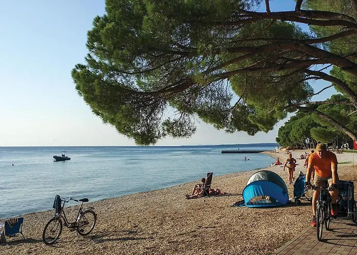 Apartment Apartment Brace Ilic III *